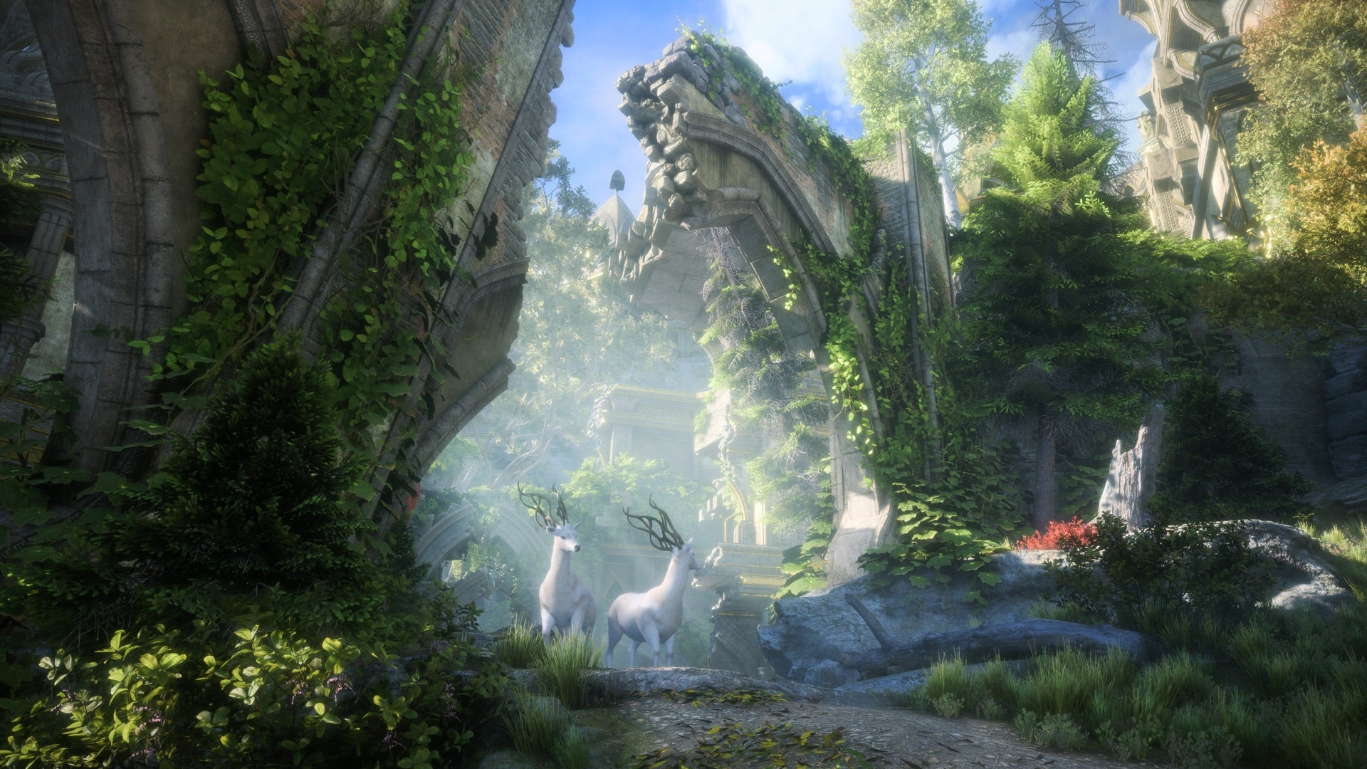 Nowe informacje o Dragon Age The Veilguard - eksploracja i tryb fotograficzny!