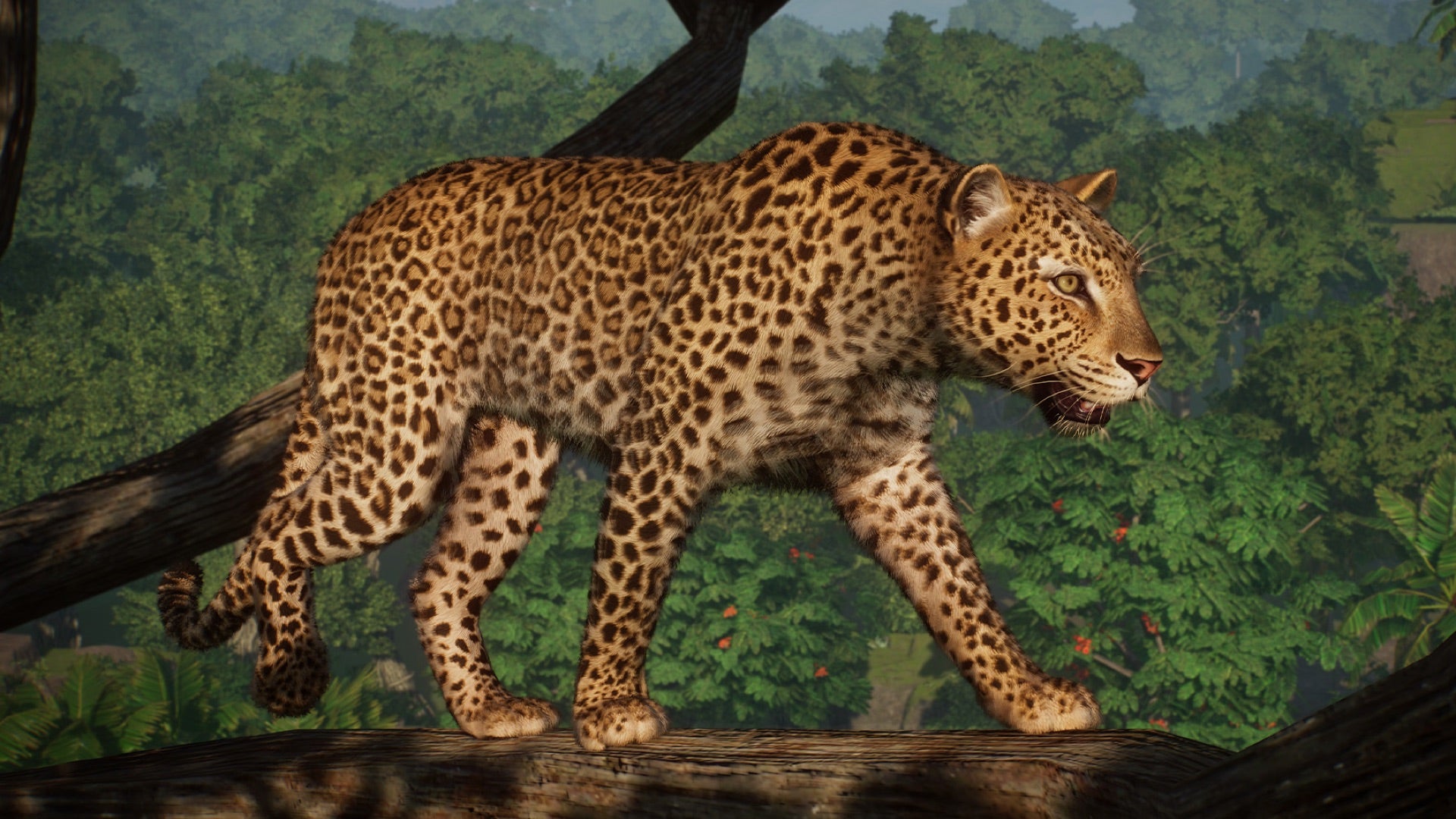 Świętujemy piątą rocznicę Planet Zoo z nowym DLC i darmowym lewym!